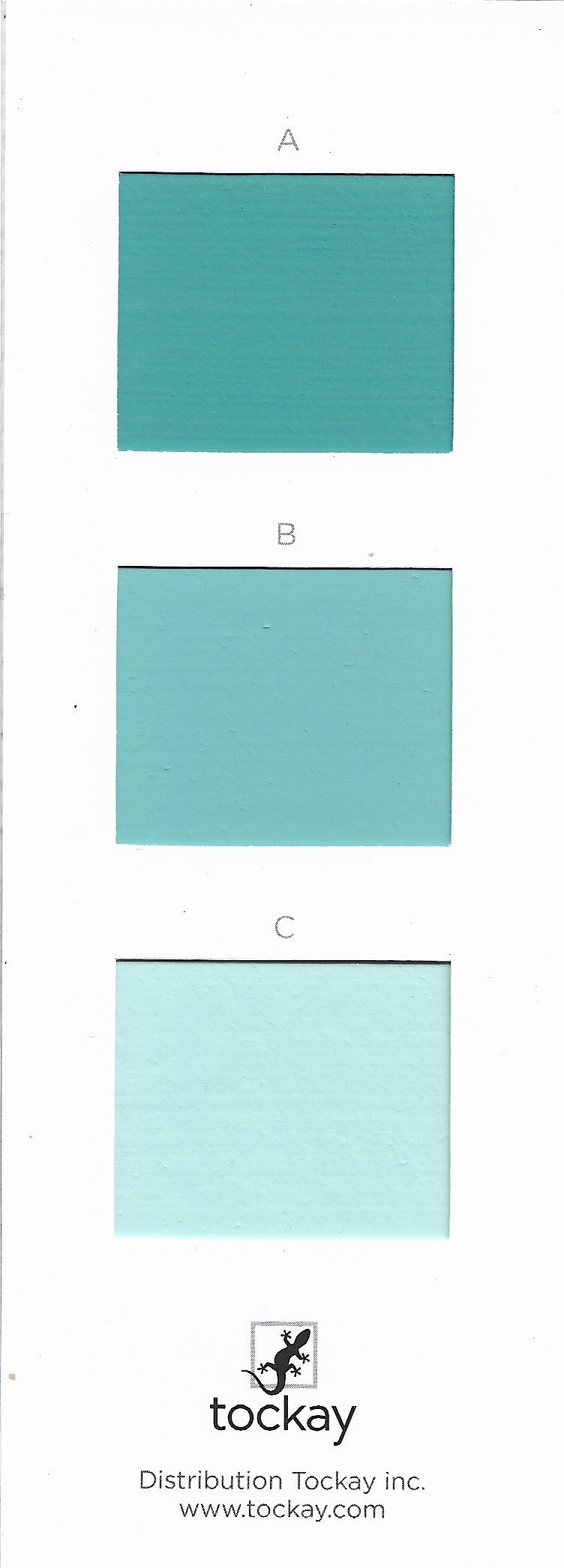 Individual Colour Charts for Paints and Plasters