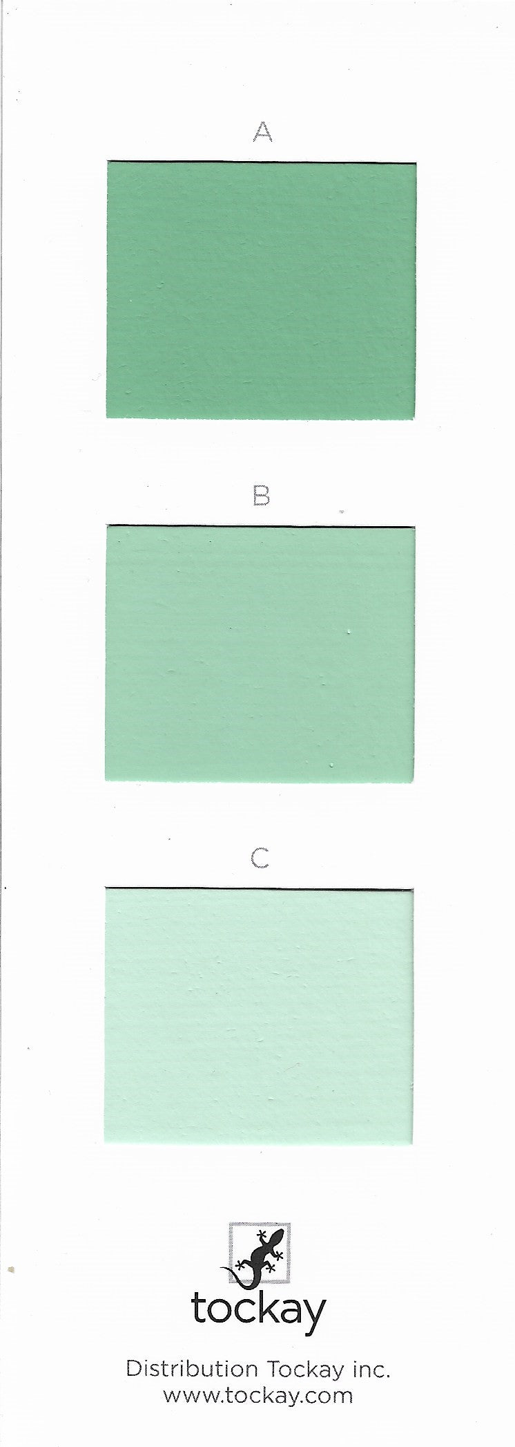 Individual Colour Charts for Paints and Plasters