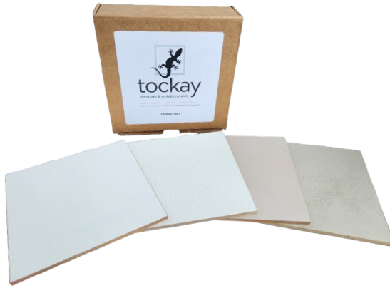Kit of 4 Handmade Lime Paint Samples