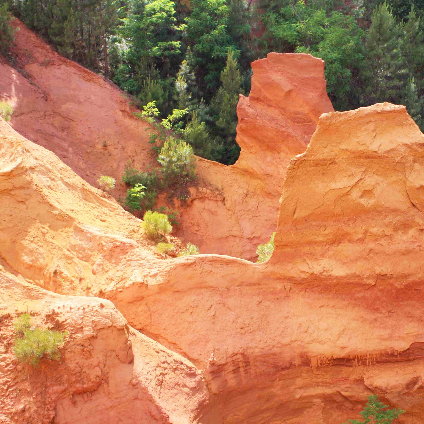 Natural Dry Pigments